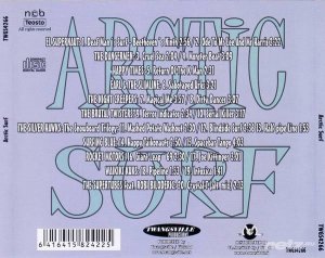  Various Artist - Arctic Surf! (2009) 