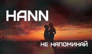  Hann -   (2014) 