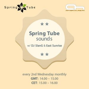  DJ SlanG - Spring Tube Sounds 042 (2014-03-12) 