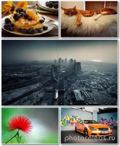  Best HD Wallpapers Pack 1195 