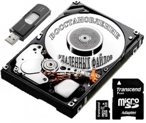  Raise Data Recovery for FAT / NTFS 5.14 (2014) RUS 