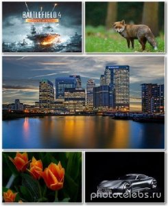 Best HD Wallpapers Pack 1205 