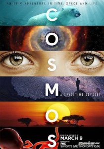  :    / Cosmos: A SpaceTime Odyssey / 1  / 1-3  (2014.,HDTVRip) 