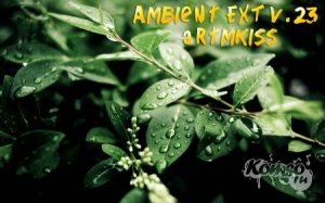  Ambient EXT v.23 (2014) 