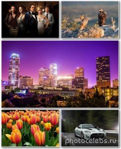  Best HD Wallpapers Pack 1207 