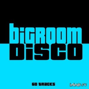  Bigroom Disco 60 Tracks (2014) 
