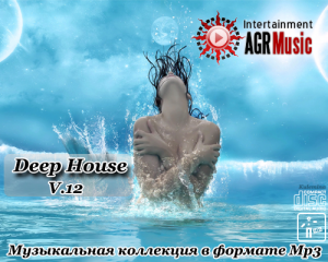  Deep House V. 12 (2014) 