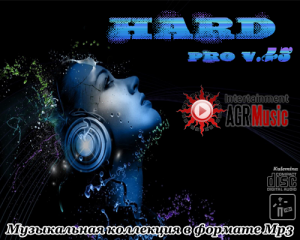  Hard Pro v. 43 (2014) 