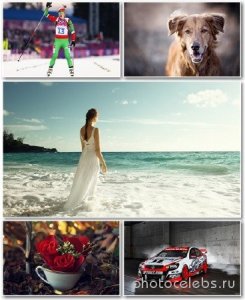  Best HD Wallpapers Pack 1210 