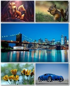  Best HD Wallpapers Pack 1213 