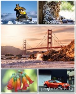  Best HD Wallpapers Pack 1215 