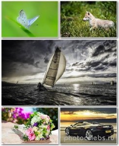  Best HD Wallpapers Pack 1219 