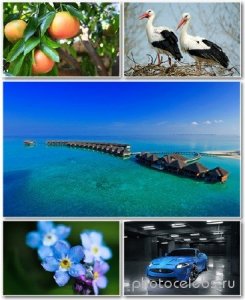  Best HD Wallpapers Pack 1231 