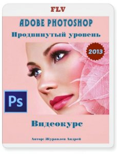  Adobe Photoshop.   (2013)  