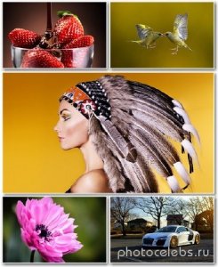 Best HD Wallpapers Pack 1236 