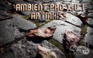  Ambient Pro X v.1 (2014) 