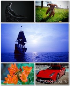  Best HD Wallpapers Pack 1237 