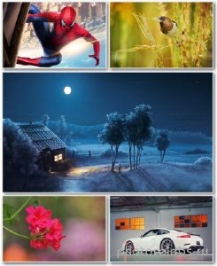  Best HD Wallpapers Pack 1238 