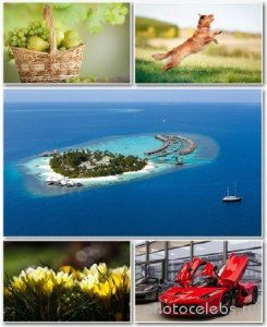  Best HD Wallpapers Pack 1239 