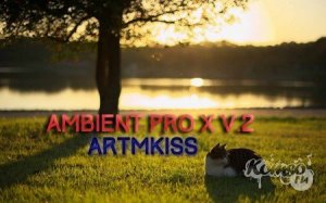  Ambient Pro X v.2 (2014) 