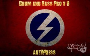  Drum and Bass Pro v.8 (2014) 