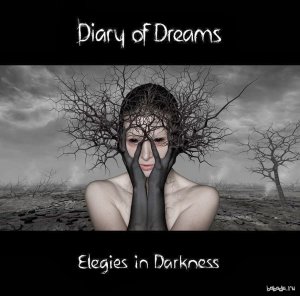  Diary Of Dreams - Elegies In Darkness (2014) 