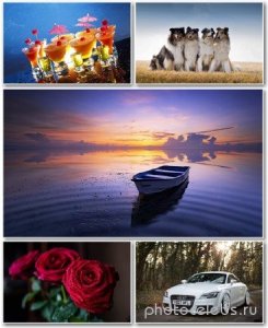  Best HD Wallpapers Pack 1243 