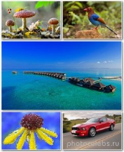  Best HD Wallpapers Pack 1244 