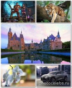  Best HD Wallpapers Pack 1245 