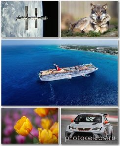  Best HD Wallpapers Pack 1246 