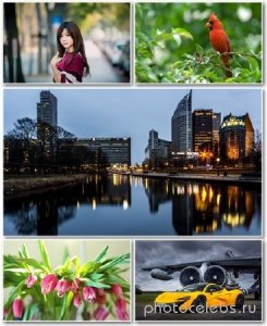  Best HD Wallpapers Pack 1247 