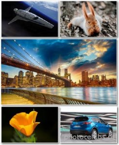  Best HD Wallpapers Pack 1249 