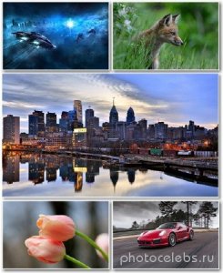  Best HD Wallpapers Pack 1250 
