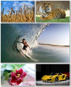 Best HD Wallpapers Pack 1251 