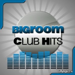  Bigroom Club Hits (2014) 