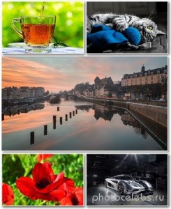  Best HD Wallpapers Pack 1253 