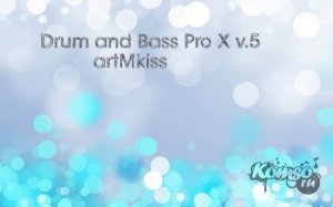  Drum and Bass Pro X v.5 (2014) 