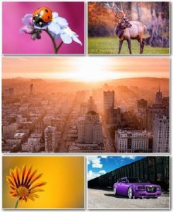  Best HD Wallpapers Pack 1261 