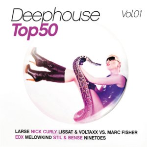  Deephouse Top 50 Vol. 1 [2CD] 2014 