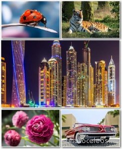  Best HD Wallpapers Pack 1266 