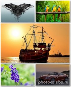  Best HD Wallpapers Pack 1268 