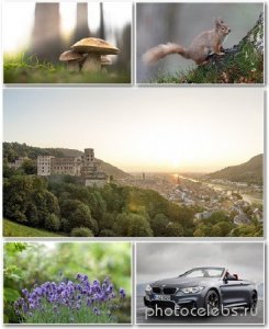  Best HD Wallpapers Pack 1276 