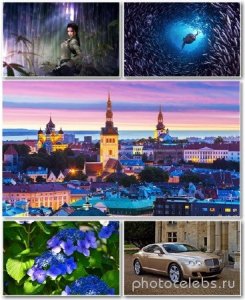  Best HD Wallpapers Pack 1277 