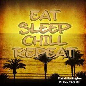  Eat Sleep Chill Repeat (2014) 