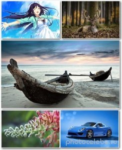  Best HD Wallpapers Pack 1281 