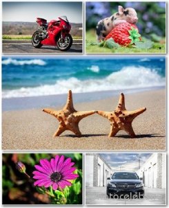  Best HD Wallpapers Pack 1286 