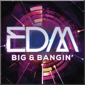  EDM: Big & Bangin (2014) 