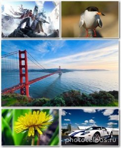  Best HD Wallpapers Pack 1299 