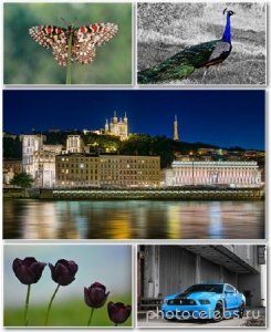  Best HD Wallpapers Pack 1301 