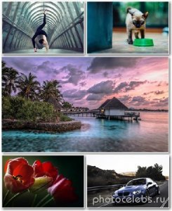 Best HD Wallpapers Pack 1302 